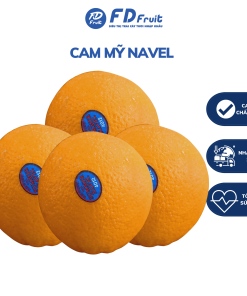 CAM NAVEL| CAM MỸ| TRÁI CÂY NHẬP KHẨU| FD FRUIT| FD MART