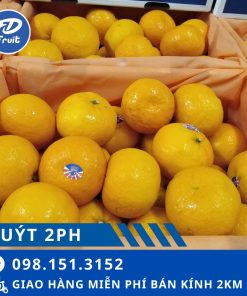 fdfruit - siêu thị trái cây nhập khẩu