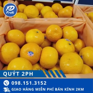 fdfruit - siêu thị trái cây nhập khẩu