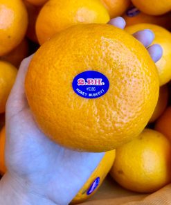 fdfruit - siêu thị trái cây nhập khẩu