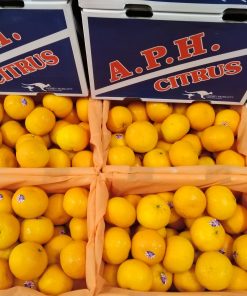 fdfruit - siêu thị trái cây nhập khẩu