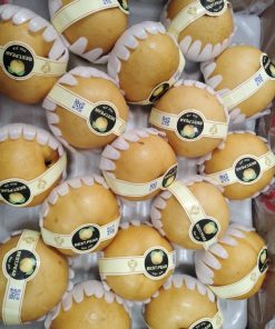 fdfruit - siêu thị trái cây nhập khẩu