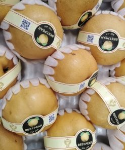 fdfruit - siêu thị trái cây nhập khẩu