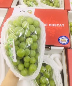 FD Fruit - Trái cây nhập khẩu