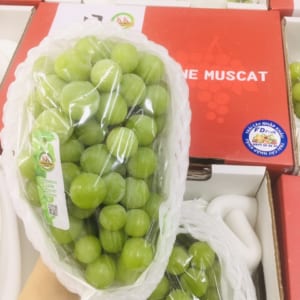 FD Fruit - Trái cây nhập khẩu