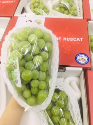 FD Fruit - Trái cây nhập khẩu