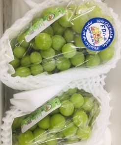 FD Fruit - Trái cây nhập khẩu
