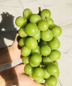FD Fruit - Trái cây nhập khẩu