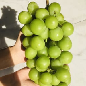 FD Fruit - Trái cây nhập khẩu