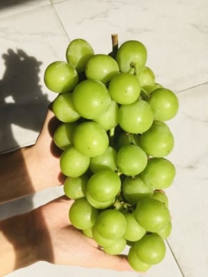 FD Fruit - Trái cây nhập khẩu