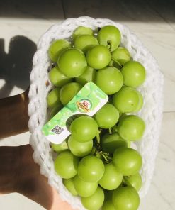 FD Fruit - Trái cây nhập khẩu