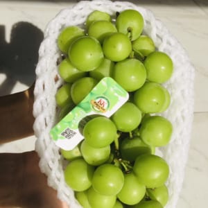 FD Fruit - Trái cây nhập khẩu