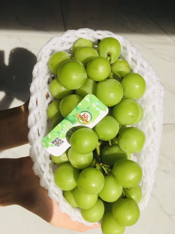 FD Fruit - Trái cây nhập khẩu