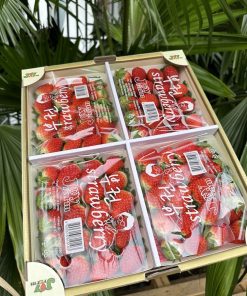 fdfruit - siêu thị trái cây nhập khẩu