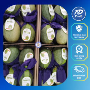 Dưa lưới Aladin | Dứa lưới melon | Dưa lưới bìa tím| Trái cây nhập khẩu| FD FRUIT