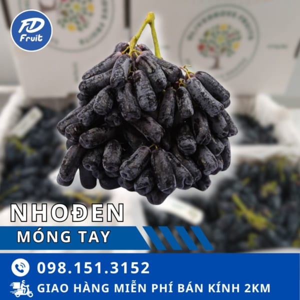 fdfruit - siêu thị trái cây nhập khẩu