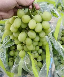 fdfruit - siêu thị trái cây nhập khẩu