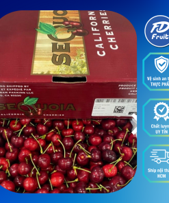 Cherry đỏ mỹ | Cherry| Cherry Mỹ| Trái cây nhập khẩu| Hàng nhập chính ngạch| FD MART| FD FRUIT