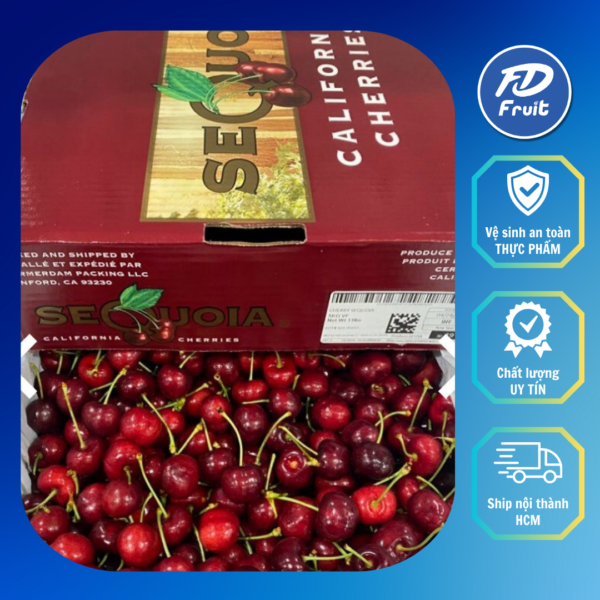 Cherry đỏ mỹ | Cherry| Cherry Mỹ| Trái cây nhập khẩu| Hàng nhập chính ngạch| FD MART| FD FRUIT