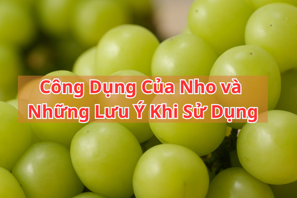 Công Dụng Của Nho và Những Lưu Ý Khi Sử Dụng