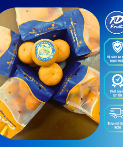 Quýt túi mini | Quýt túi | Quýt gold| Quýt mini gold | Quýt nội địa trung | Trái cây nhập khẩu | FD MART | FD FRUIT