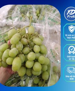 Nho Xanh | Nho xanh Chile | Nho xanh autumn