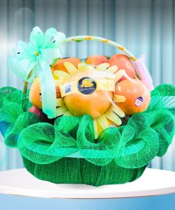 Giỏ quà tặng trái cây nhập khẩu - FD Fruit