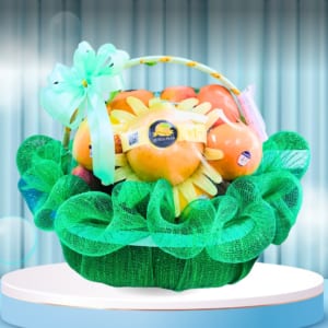 Giỏ quà tặng trái cây nhập khẩu - FD Fruit