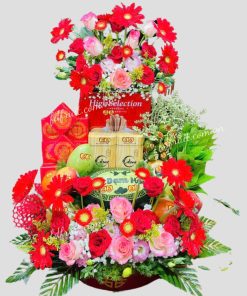 Trap Cưới Hỏi 11