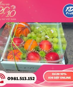 Giỏ - Hộp trái cây dành tặng ngày Phụ Nữ Việt Nam 20/19