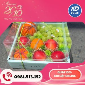 Giỏ - Hộp trái cây dành tặng ngày Phụ Nữ Việt Nam 20/19
