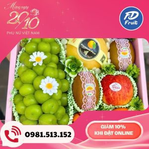 Giỏ - Hộp trái cây dành tặng ngày Phụ Nữ Việt Nam 20/24