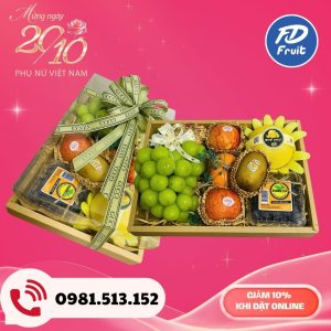 Giỏ - Hộp trái cây dành tặng ngày Phụ Nữ Việt Nam 20/16